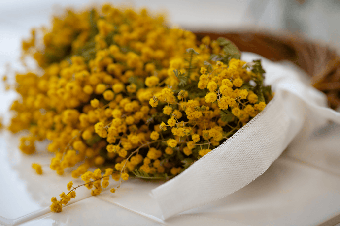 CUIDADOS DE LAS FLORES PRESERVADAS