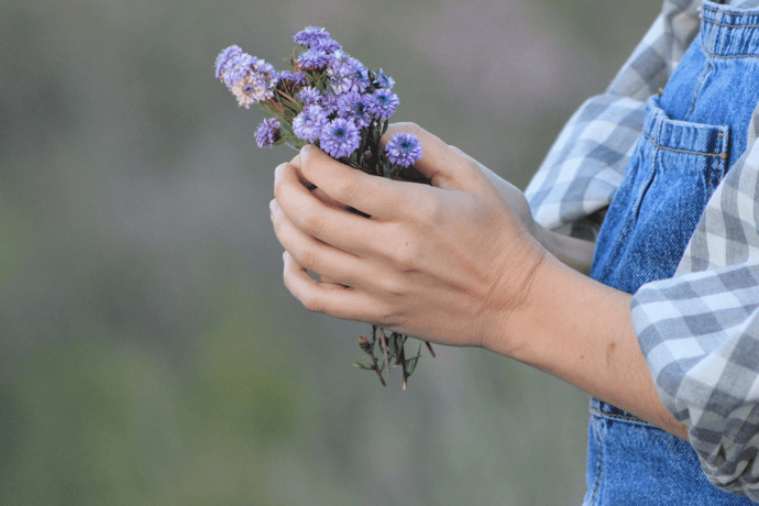 NUESTAS FLORES ETERNAS